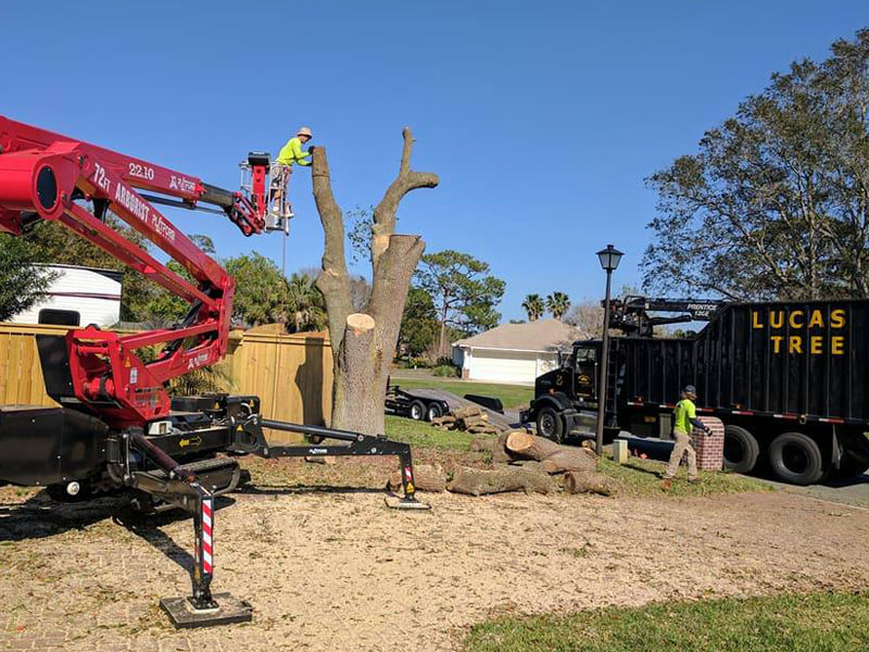 Lucas Tree Service crane and branded truck mid-removal on a Jacksonville job site — blue sky, fresh logs on the ground, crew visible