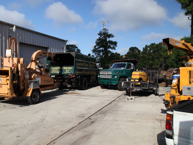 Lucas Tree Service fleet of branded trucks, chippers, and equipment staged at our Atlantic Beach yard